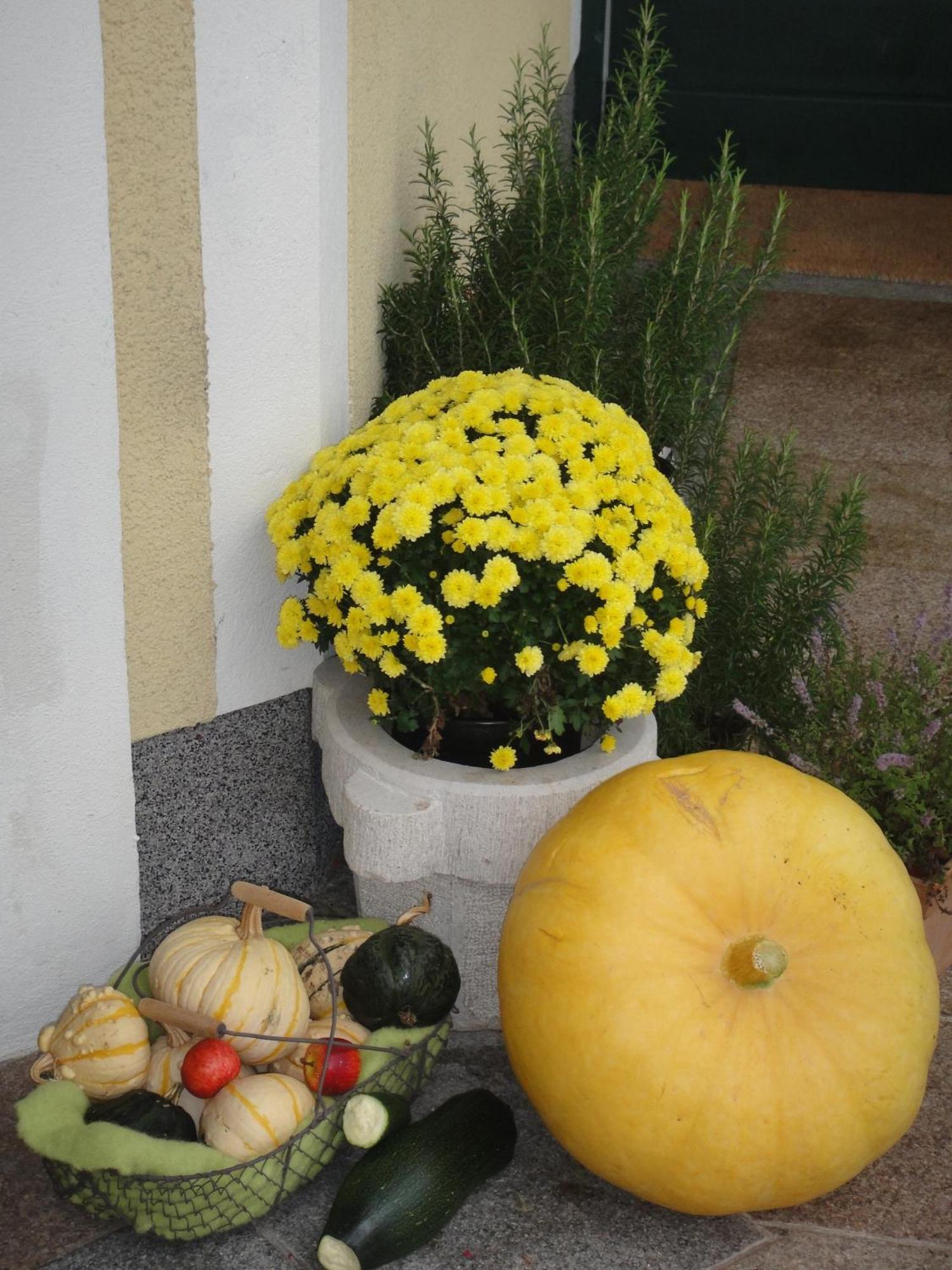 Ferienwohnung Haus Lehen Sankt Koloman Екстериор снимка