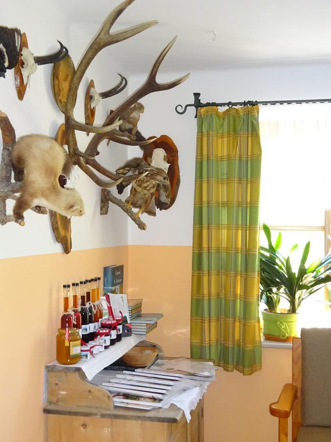 Ferienwohnung Haus Lehen Sankt Koloman Екстериор снимка